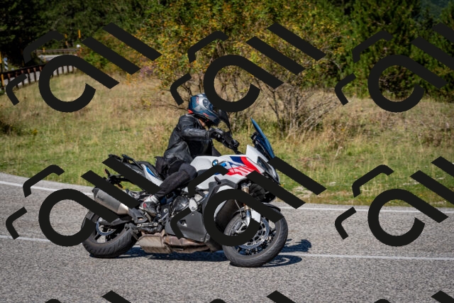 202509061147-DSC_0701_c2