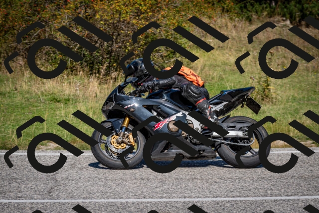 202509061147-DSC_0705_c2