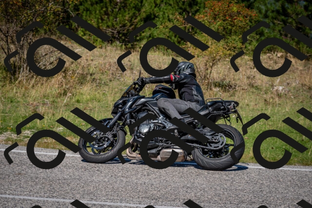 202509061147-DSC_0707_c2