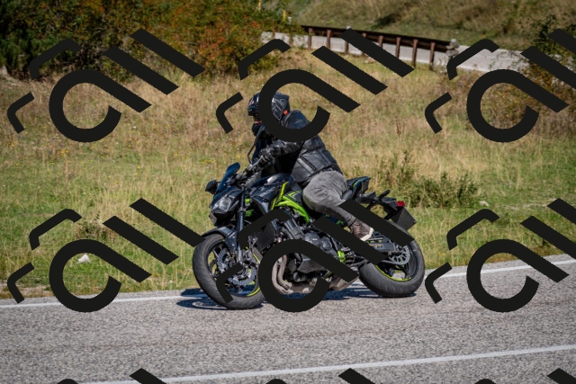 202509061147-DSC_0708_c2