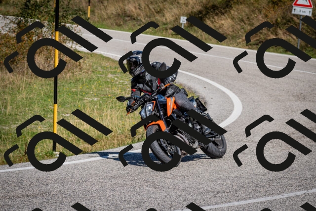 202509061147-DSC_0713_c2