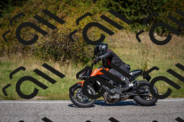 202509061147-DSC_0714_c2