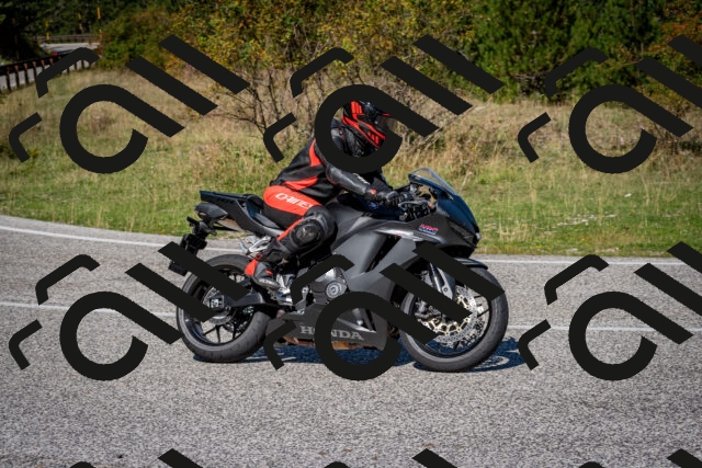 202509061148-DSC_0717_c2