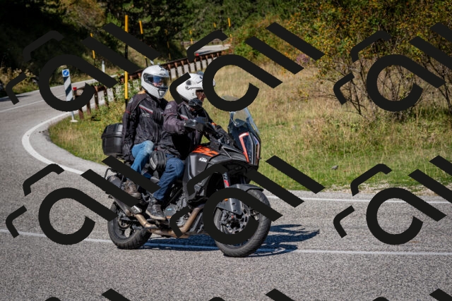 202509061149-DSC_0734_c2