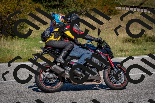 202509061149-DSC_0736_c2