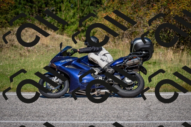 202509061150-DSC_0744_c2