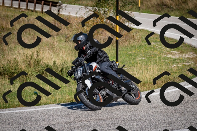 202509061150-DSC_0748_c2