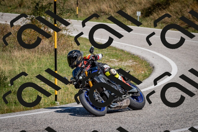 202509061150-DSC_0755_c2