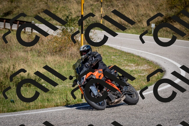 202509061150-DSC_0759_c2