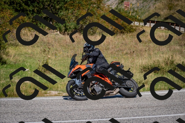 202509061150-DSC_0760_c2