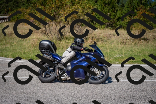 202509061151-DSC_0770_c2