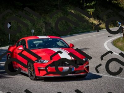 202509061152-DSC_0778_c2