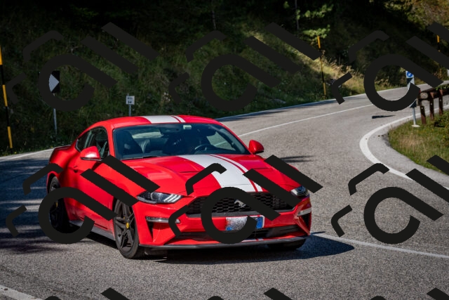 202509061152-DSC_0778_c2