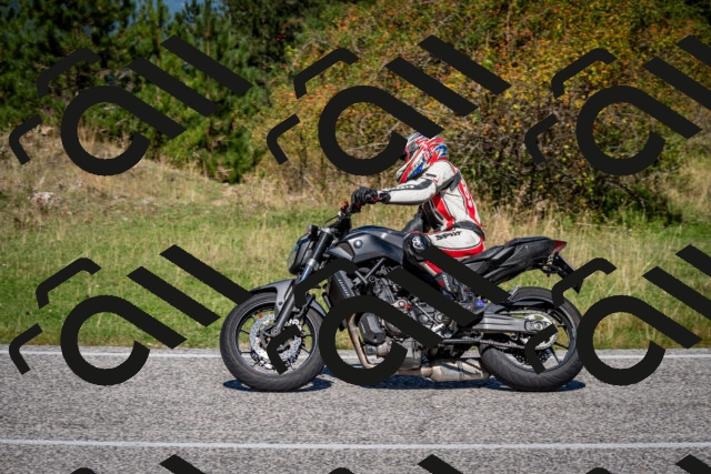 202509061153-DSC_0783_c2