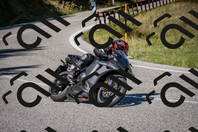 202509061153-DSC_0784_c2