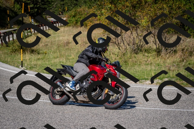 202509061153-DSC_0787_c2