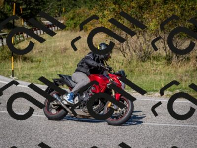 202509061153-DSC_0787_c2