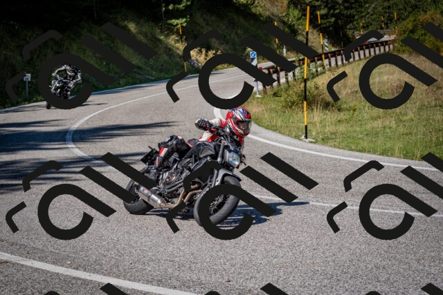 202509061153-DSC_0788_c2