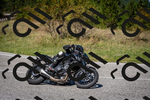 202509061154-DSC_0791_c2