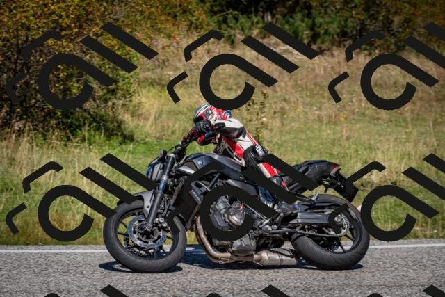 202509061154-DSC_0799_c2