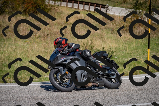 202509061154-DSC_0801_c2