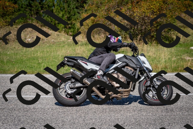 202509061155-DSC_0823_c2