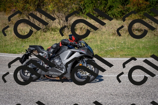 202509061156-DSC_0834_c2