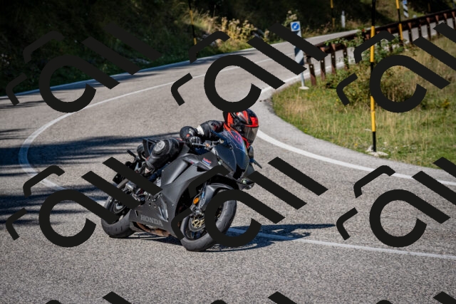 202509061158-DSC_0858_c2