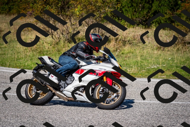 202509061200-DSC_0870_c2