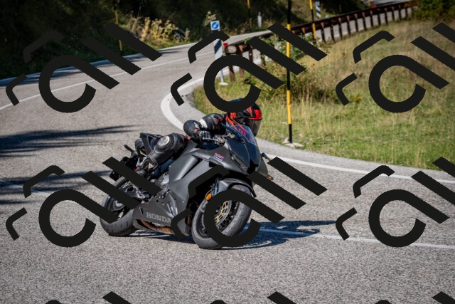 202509061200-DSC_0872_c2