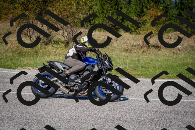 202509061201-DSC_0879_c2