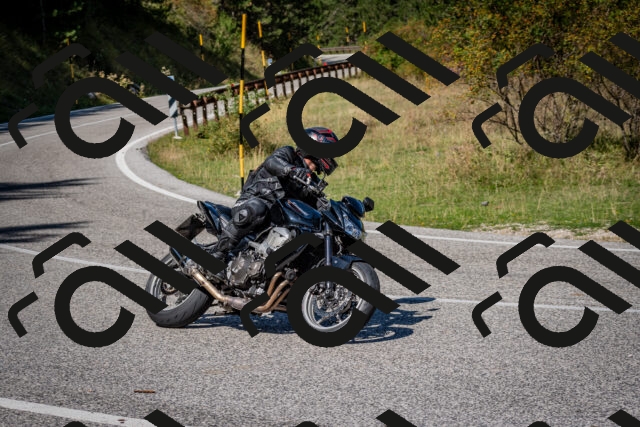 202509061202-DSC_0888_c2