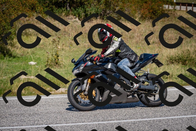 202509061205-DSC_0904_c2