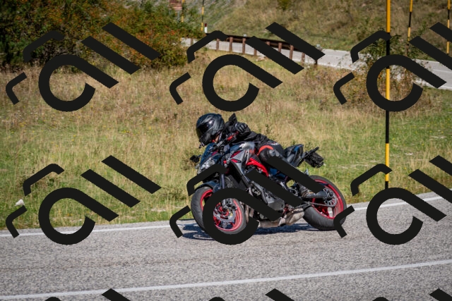 202509061205-DSC_0911_c2