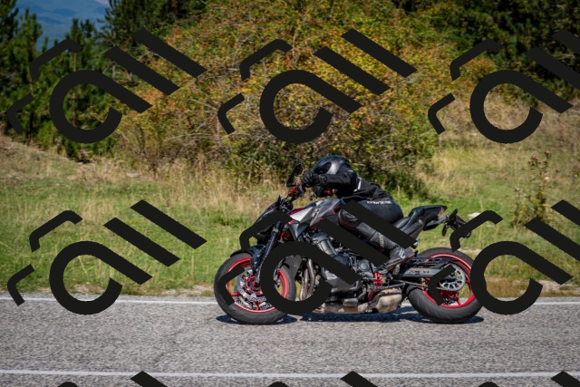 202509061205-DSC_0912_c2