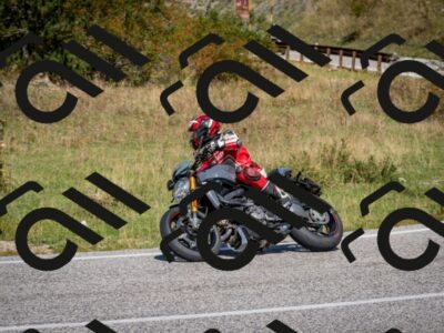 202509061206-DSC_0916_c2