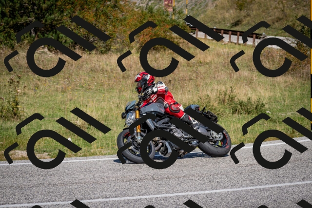 202509061206-DSC_0916_c2