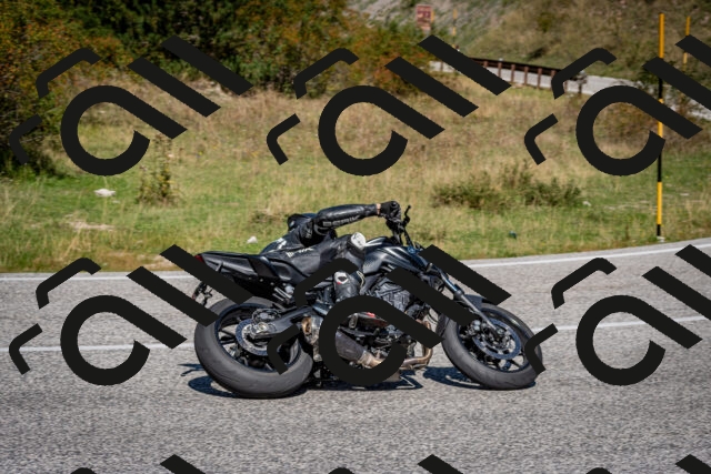 202509061206-DSC_0920_c2