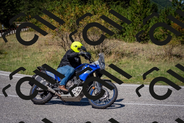 202509061207-DSC_0929_c2