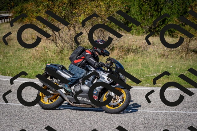 202509061207-DSC_0937_c2