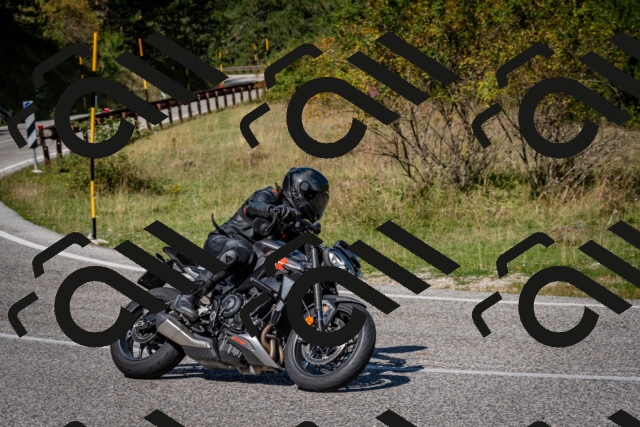 202509061207-DSC_0940_c2