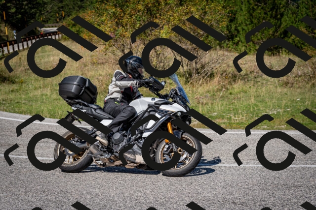 202509061207-DSC_0943_c2