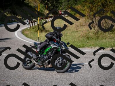 202509061207-DSC_0947_c2