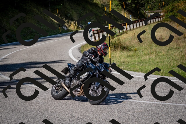 202509061208-DSC_0955_c2