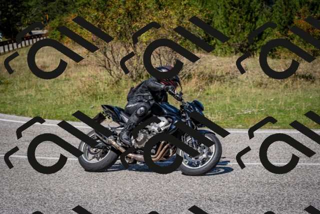 202509061208-DSC_0956_c2