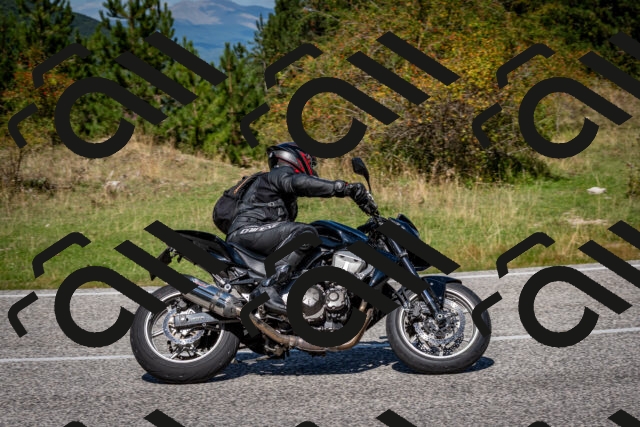 202509061208-DSC_0957_c2