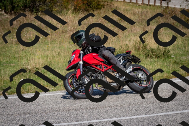 202509061208-DSC_0959_c2