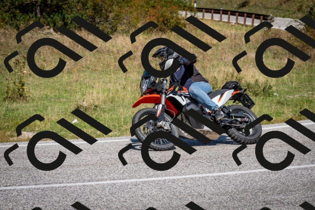 202509061208-DSC_0960_c2