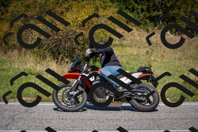 202509061208-DSC_0961_c2