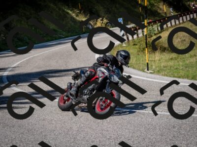 202509061208-DSC_0962_c2